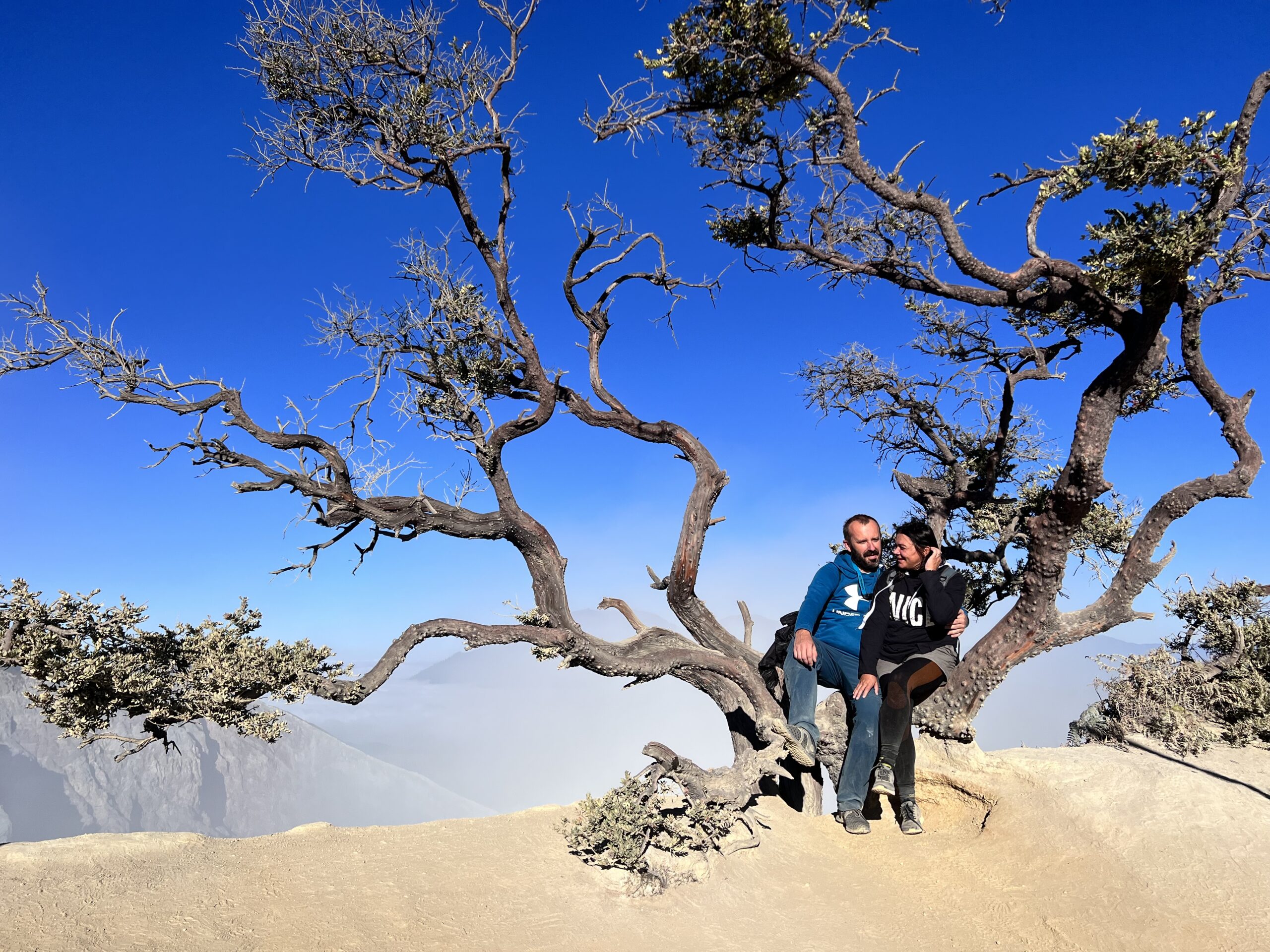 „Normalne” życie