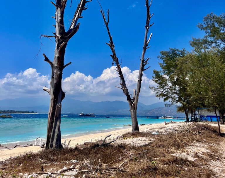 Gili