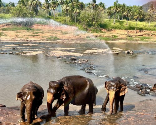 Sri Lanka