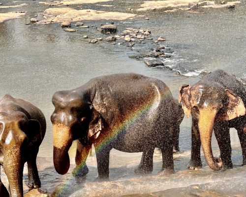 Sri Lanka