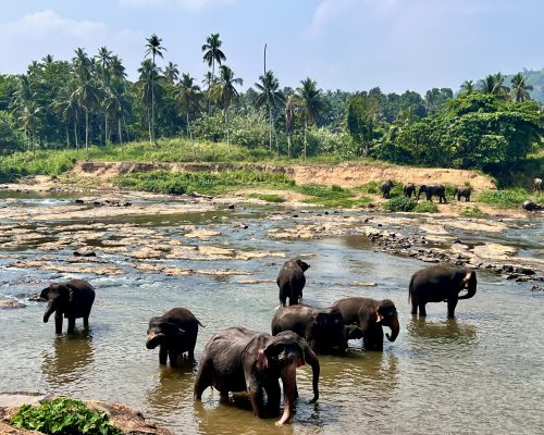 Sri Lanka