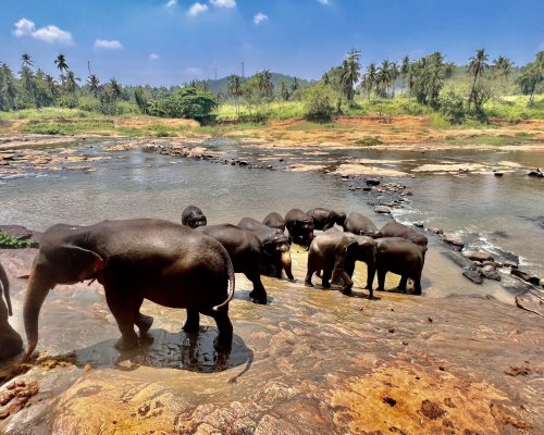 Sri Lanka