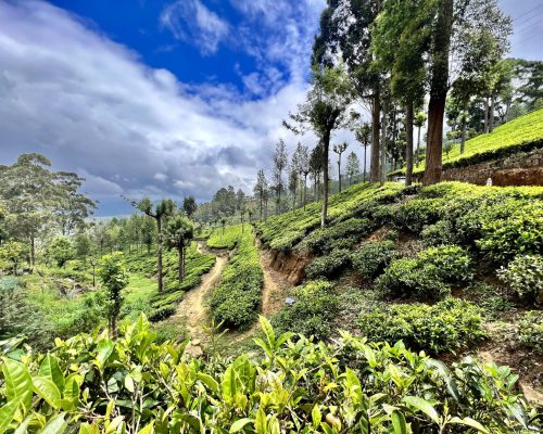 Sri Lanka