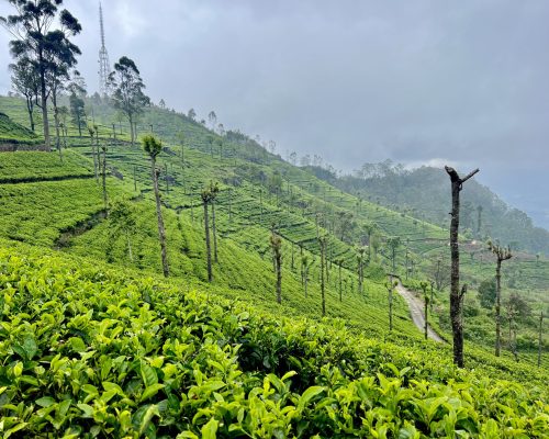 Sri Lanka