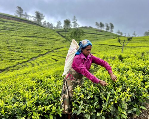 Sri Lanka