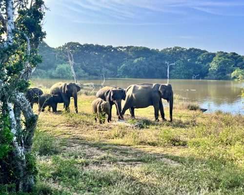 Sri Lanka