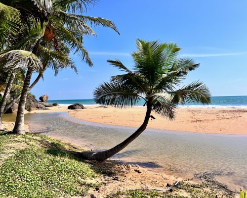 Sri Lanka