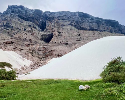 Socotra