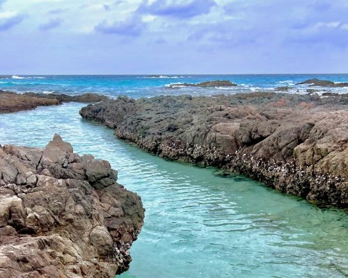 Socotra