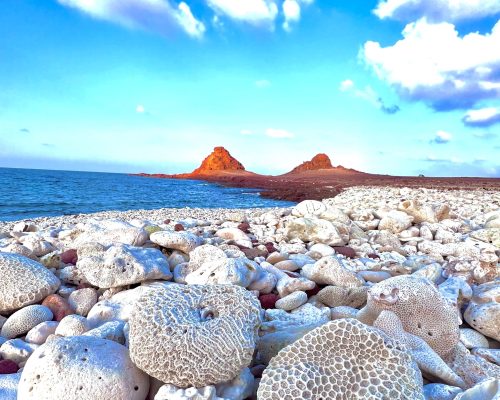 Socotra