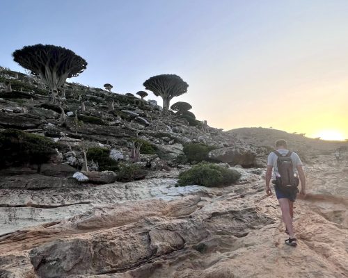 Socotra