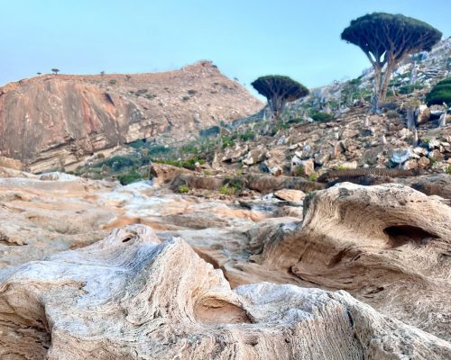 Socotra