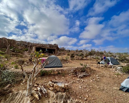 Socotra