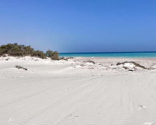 Socotra