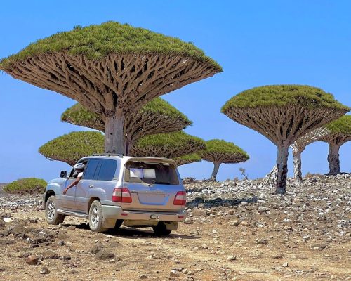 Socotra