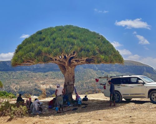 Socotra