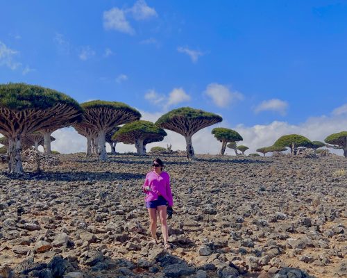 Socotra