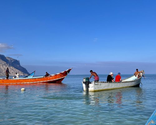 Socotra