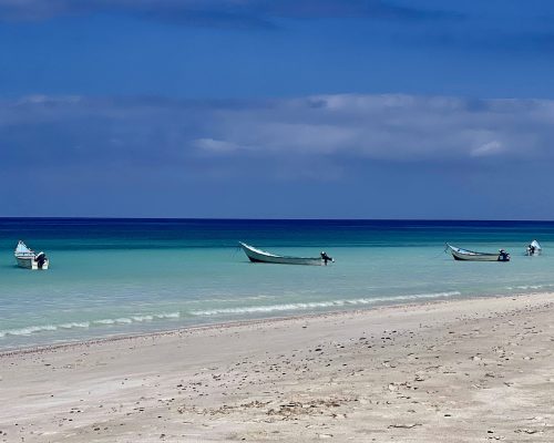 Socotra